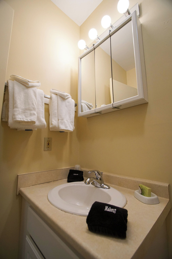 Bathroom 3, The Village of Loon Mountain, Grafton