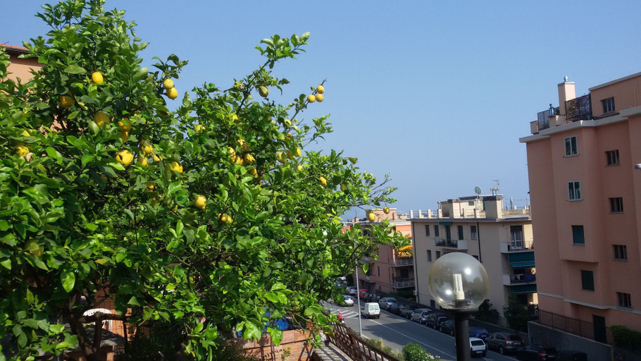 City view, House Ari, Genova