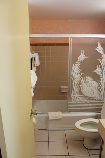 Bathroom 4, Grand Prix Motel on the Beach, Volusia