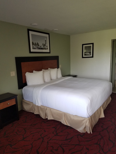 Bedroom 4, Budget Inn, Broward