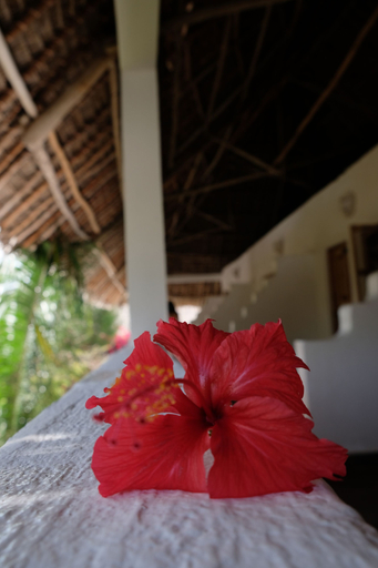 Bedroom 3, Bahati Villa, Kaskazini 'B'