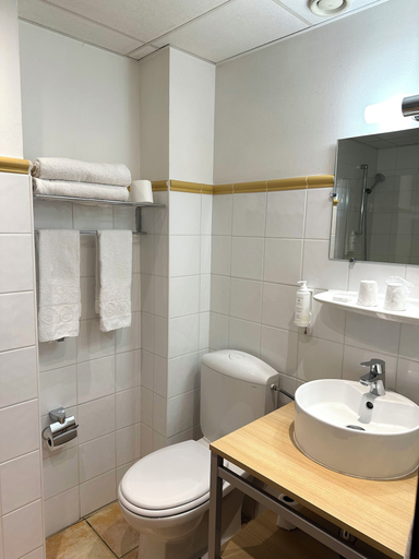 Bathroom 4, Hôtel Du Centre Annemasse, Haute-Savoie