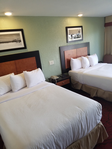 Bedroom 4, Budget Inn, Broward