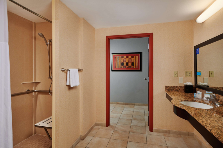 Bathroom 4, Hampton Inn & Suites Denver/Highlands Ranch, Arapahoe