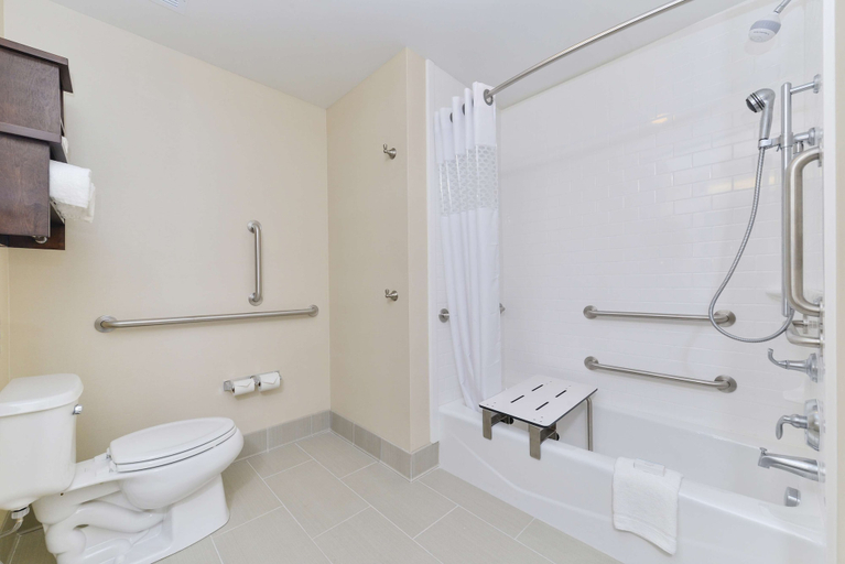 Bathroom 4, Hampton Inn & Suites Des Moines Downtown, Polk