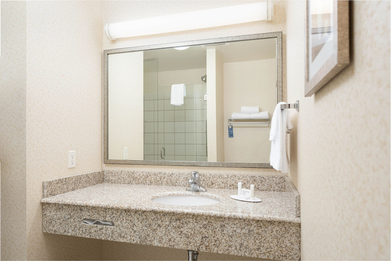 Bathroom 5, Fairfield Inn & Suites South Boston, Halifax