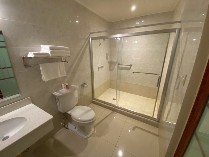 Bathroom 4, Hotel F Sur Inn, David