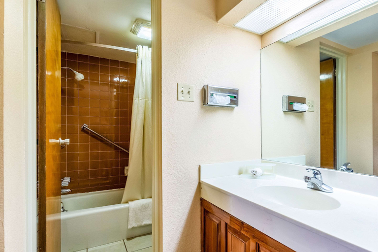 Bathroom 4, Econo Lodge Rocky Top, Anderson
