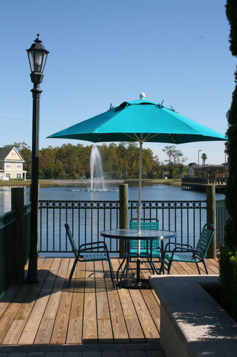 Sport & Beauty 5, Florida Villas and Elite Homes, Osceola