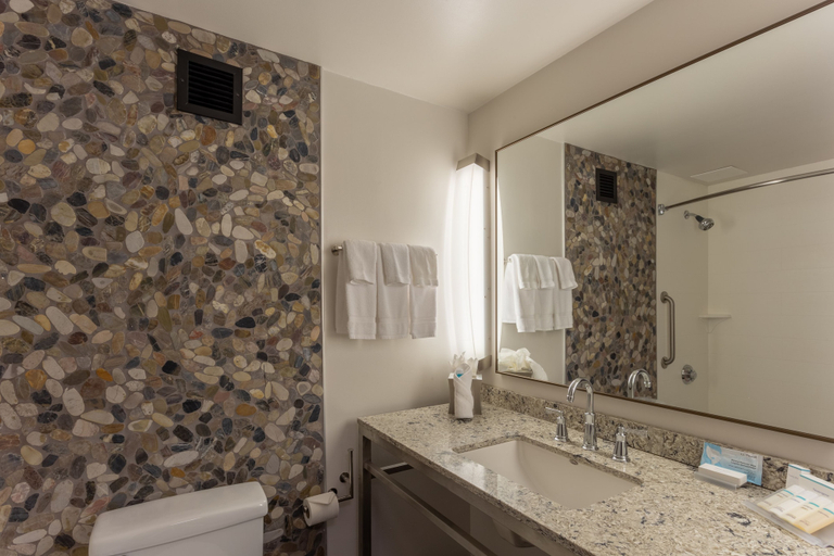 Bathroom 5, Hilton Garden Inn Owings Mills, Baltimore