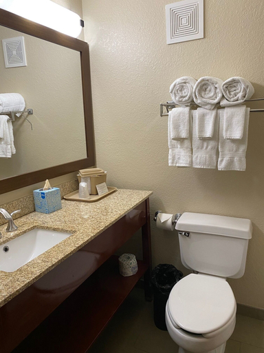 Bathroom 4, Comfort Inn Near Kokomo Speedway, Howard