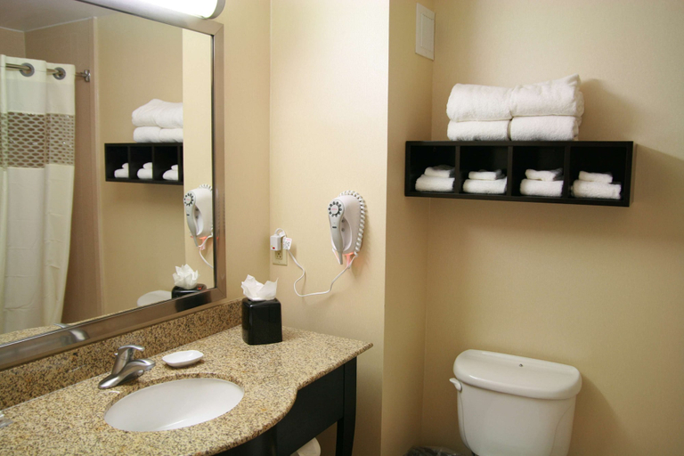 Bathroom 4, Hampton Inn Topeka, Shawnee