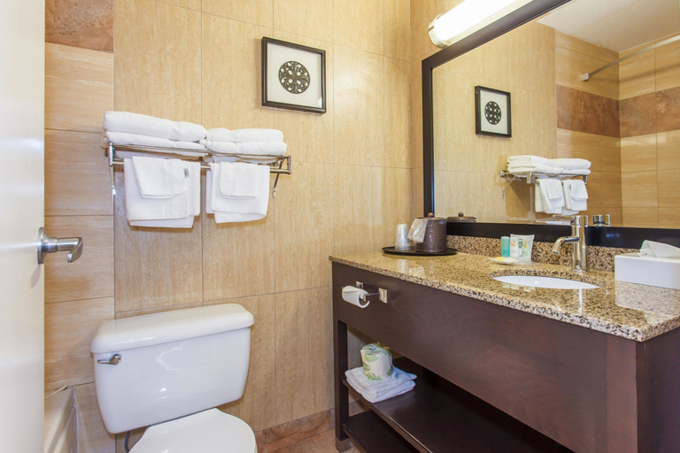 Bathroom 4, Quality Inn, Thompson-Nicola