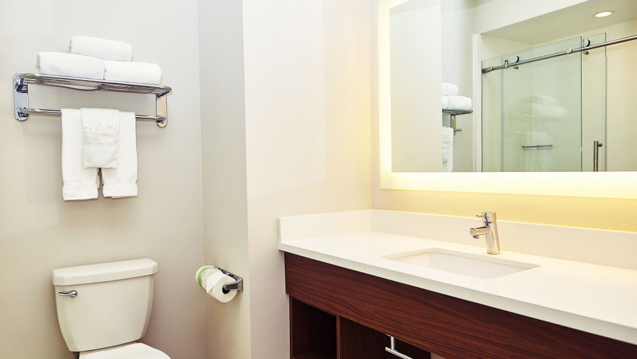 Bathroom 4, Holiday Inn Express & Suites CORONA by IHG, Riverside