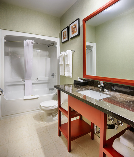 Bathroom 3, Quality Inn, Lake Hurron