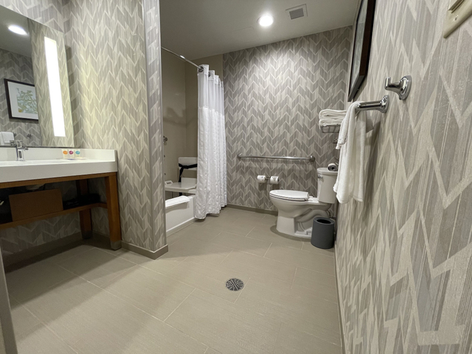 Bathroom 4, Hyatt Place Houston Downtown, Houston