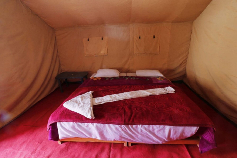 Bedroom 3, Wonderland Tourist Camp, Leh