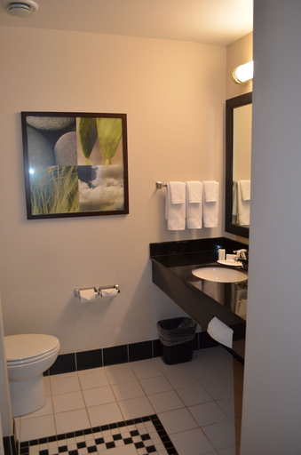 Bathroom 4, Fairfield Inn & Suites by Marriott Sault Ste. Marie, Algoma