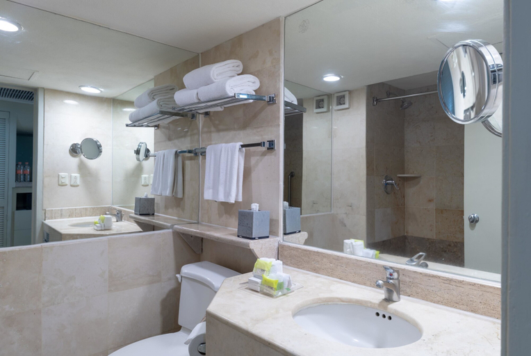 Bathroom 4, Wyndham Garden Guadalajara Expo, Zapopan