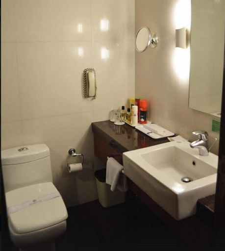 Bathroom 4, Silver Palace Hotel, Rajkot