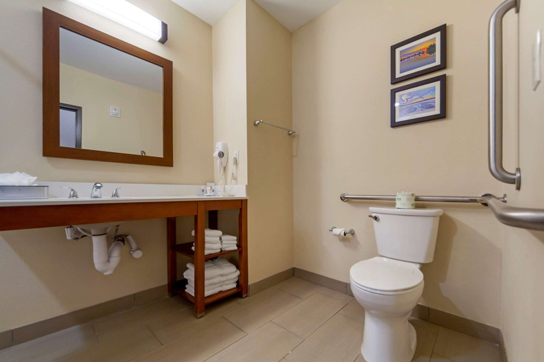 Bathroom 4, Comfort Suites La Vista - Omaha, Sarpy