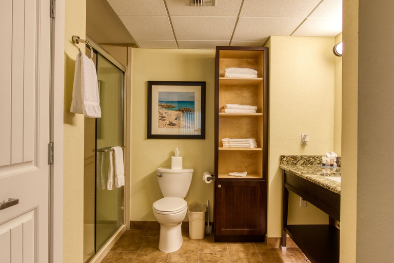Bathroom 4, Harbourside Resort, a New Hotel Collection Property, Pinellas