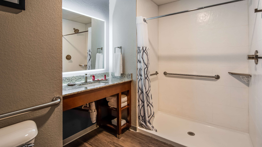 Bathroom 4, Best Western Premier Des Moines-Ankeny Hotel, Polk