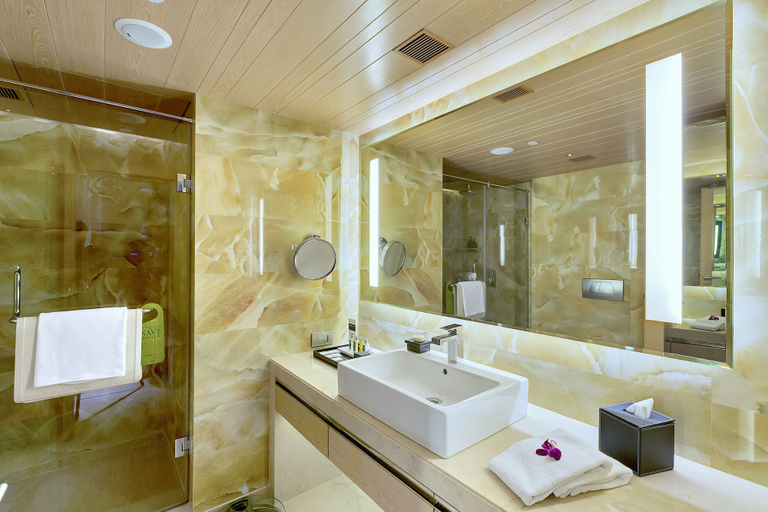 Bathroom 5, Sahara Star, Mumbai Suburban