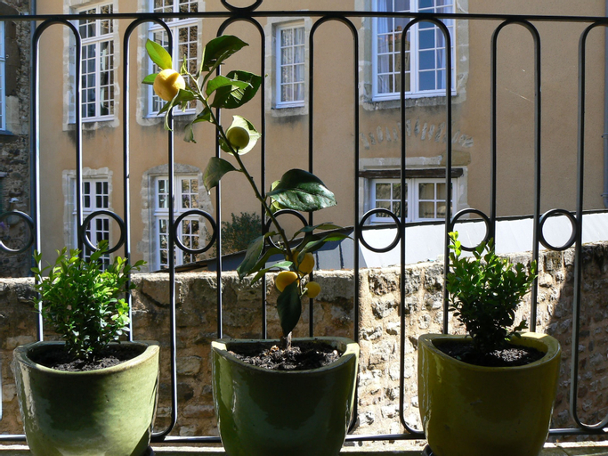 Exterior & Views