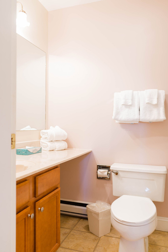 Bathroom 4, Vantage Point Villas at Stratton Mountain Resort, Bennington