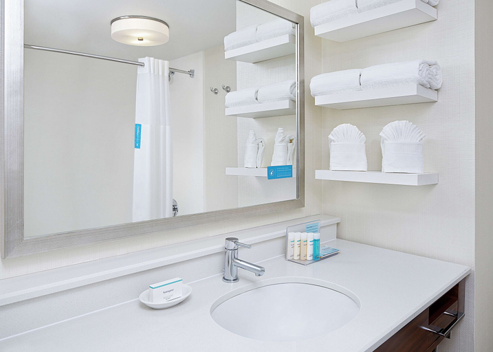 Bathroom 4, Hampton Inn Dallas-Irving-Las Colinas, Irving