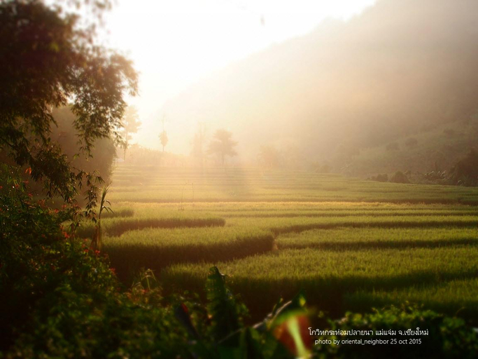 Others 5, Kowit Maechaem Farmstay, Mae Chaem