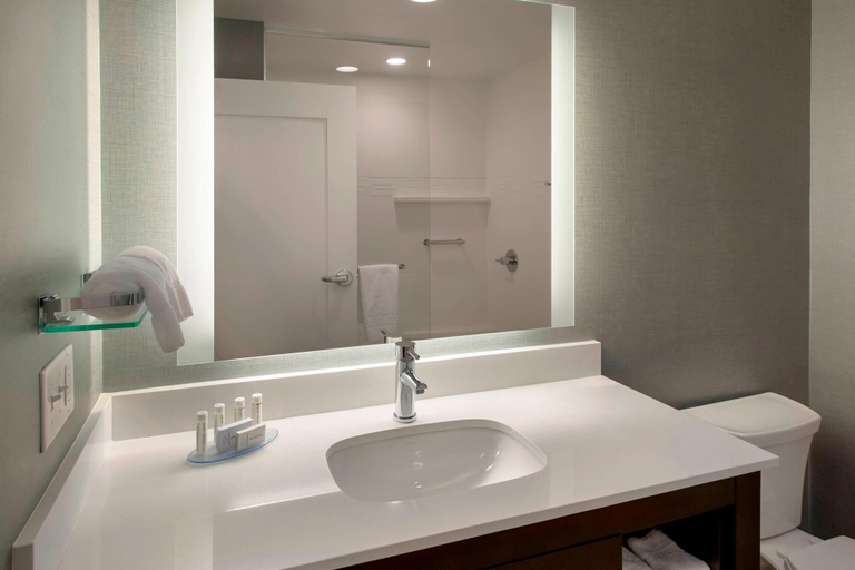 Bathroom 4, Residence Inn by Marriott Boston Bridgewater, Plymouth