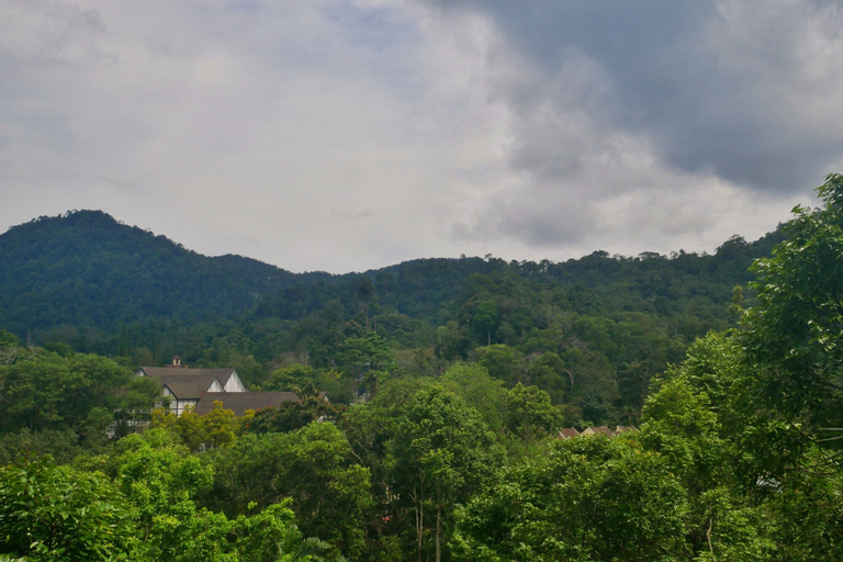 Scenery 22