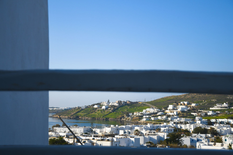 Others 5, Mykonostimo Luxury Villas & Apartments, South Aegean