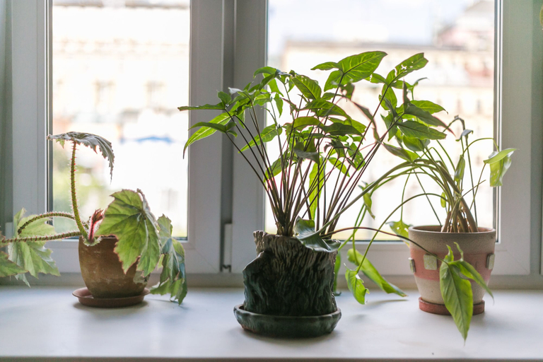 Others 4, Apartment on 2ya Brestskaya 43, Northern