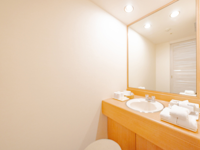 Bathroom 5, Hotel Grand Terrace Obihiro, Obihiro