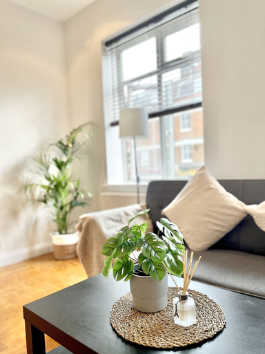 Others 4, Waterloo Luxury Apartment, London