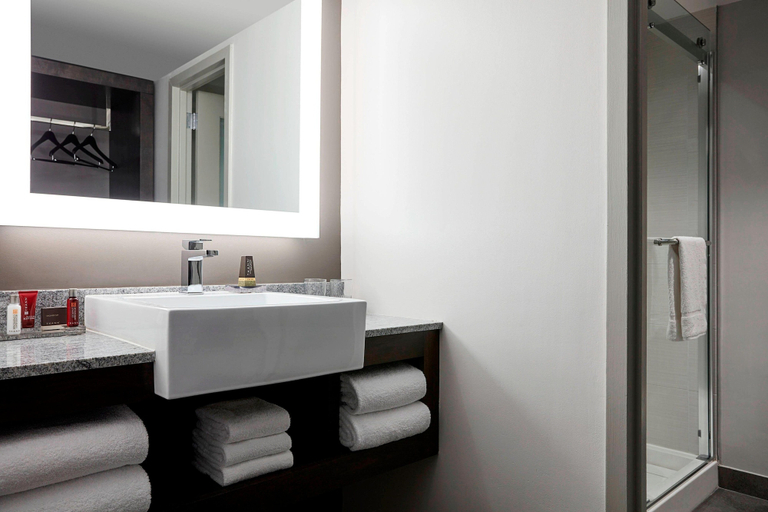 Bathroom 5, Washington Marriott Georgetown, Washington D.C.