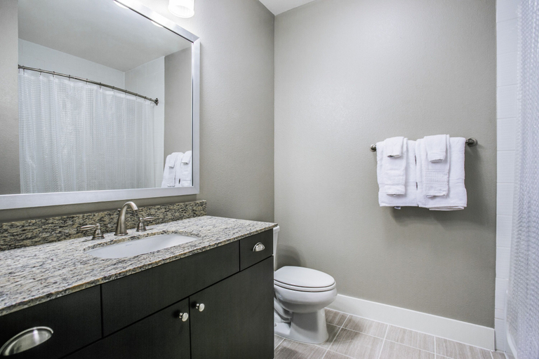 Bathroom 3, Frisco Furnished apts., Collin