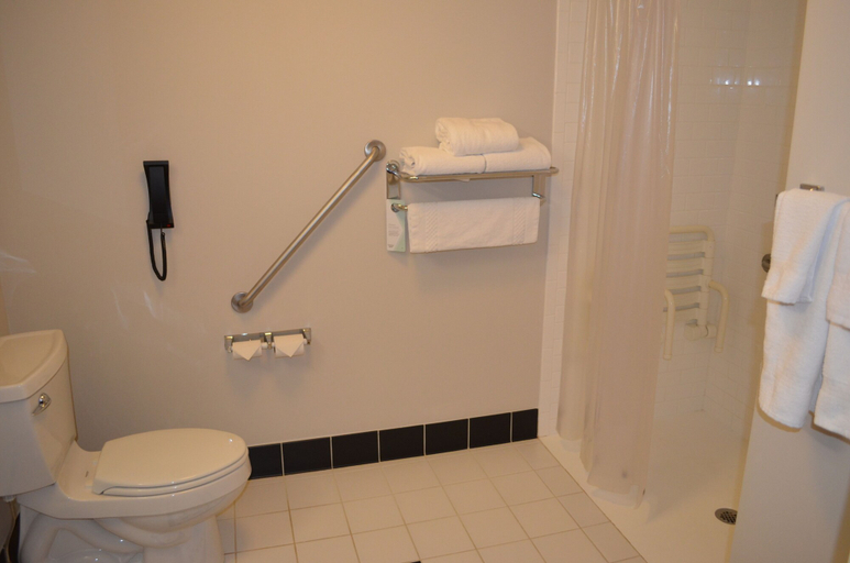 Bathroom 4, Fairfield Inn & Suites by Marriott Sault Ste. Marie, Algoma