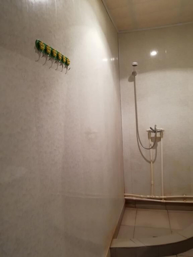 Bathroom 4, Meghri Inn