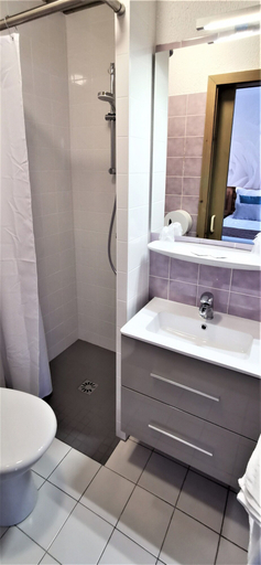 Bathroom 5, A l'Arbre Vert, Haut-Rhin