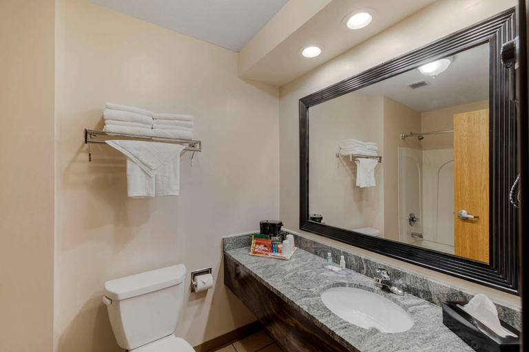 Bathroom 3, Quality Inn, Marion