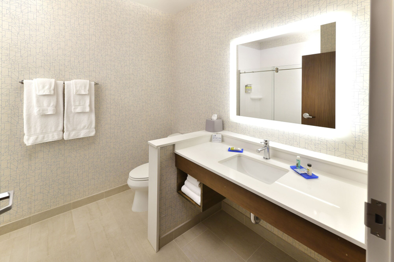 Bathroom 4, Holiday Inn Express & Suites MILLERSBURG, Holmes
