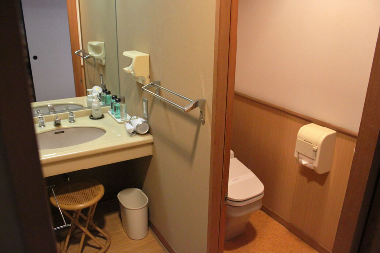 Bathroom 4, Misasa Yakushinoyu Mansuirou, Misasa