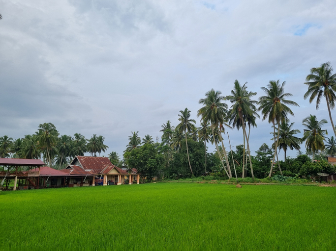 Exterior & Views 3, Wafaby Guest House, Payakumbuh