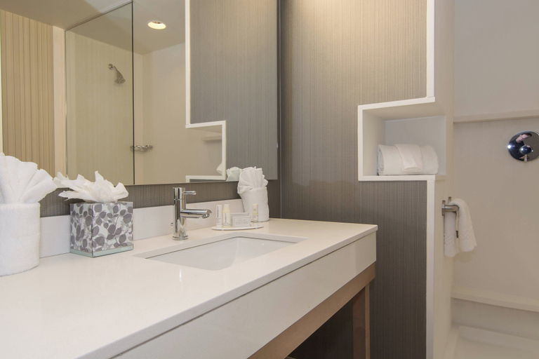 Bathroom 5, Courtyard Raleigh-Durham Airport/Brier Creek, Wake