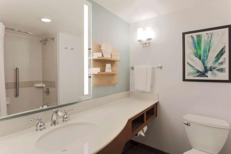 Bathroom 4, Hilton Garden Inn Raleigh-Durham/Research Triangle Park, Durham