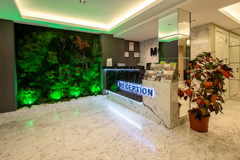 Public Area 2, Moss Suite Hotel, Beyoğlu